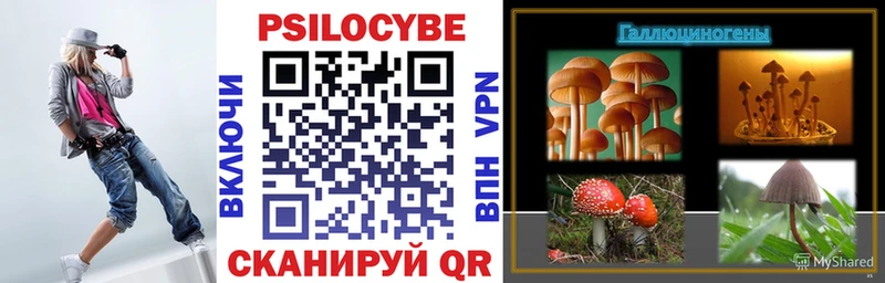 Псилоцибиновые грибы GOLDEN TEACHER Карталы